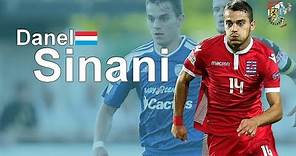 Danel Sinani | F91 Dudelange | Goals, Skills, Assists|
