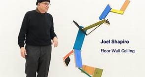 Joel Shapiro | Floor Wall Ceiling