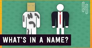 What Your Name Decides About Your Life