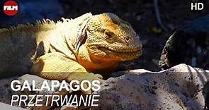 Na Krańcu Świata - Galapagos. Część 1 - Przetrwanie | Dzika Natura | Film Przyrodniczy za darmo