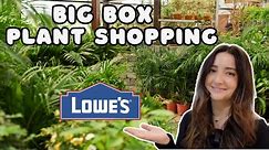 Plant Shopping at Lowe's Big Box Store! 🪴 | February 2024