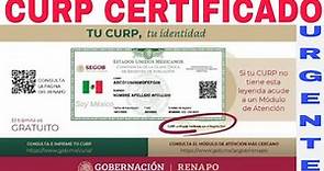 💥Cómo certificar CURP 2023 ante la 🔴RENAPO, Pasos y requisitos hoy aquí.☝️