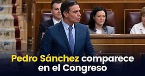 Pedro Sánchez comparece en el Congreso (24/01/2023)