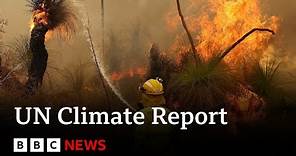 UN climate report: Scientists release ‘survival guide’ to avert climate disaster - BBC News