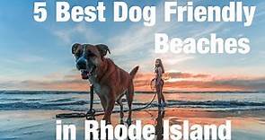 Top 5 Best Dog Friendly Beaches In Rhode Island