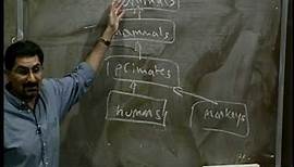 Lecture 4 | Programming Methodology (Stanford)