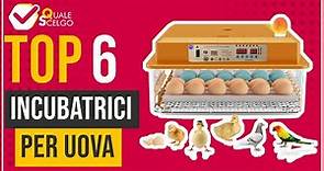 Incubatrici per uova - Top 6 - (QualeScelgo)