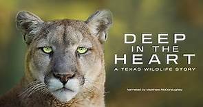 Deep in the Heart: A Texas Wildlife Story | Narrated by Matthew McConaughey | WaterBear | Trailer