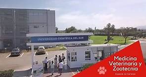 Universidad Científica del Sur | Medicina Veterinaria y Zootecnia