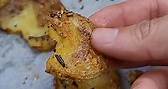Crispy Smashed Roasted Potatoes