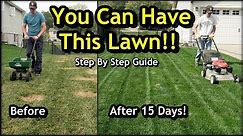 Fix an Ugly Lawn with Overseeding // Complete Step by Step Guide For Beginners