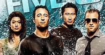 Hawaii Five-0 Stagione 1 - streaming online