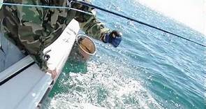 Saltwater Fly Fishing: Shark Fly Fishing Class With Capt Dave Trimble