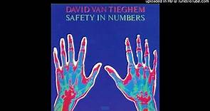 David Van Tieghem - Clear (1987)
