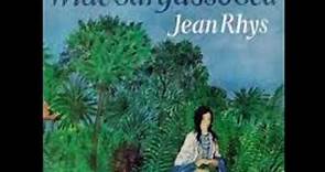 Wide Sargasso Sea By Jean Rhys Summary, Analysis & Themes In Malayalam
