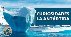 ¿Cuándo fue DESCUBIERTA la ANTÁRTIDA?🐧(Geografía, División Política, Flora y Fauna de la Antártida)