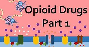 Opioid Drugs, Part 1: Mechanism of Action