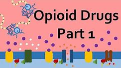 Opioid Drugs, Part 1: Mechanism of Action