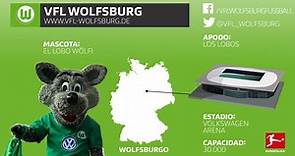 Todo lo que debe saber sobre el VfL Wolfsburg