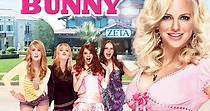 The House Bunny streaming: where to watch online?