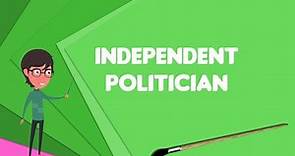 What is Independent politician?, Explain Independent politician, Define Independent politician