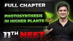 Photosynthesis in Higher Plants FULL CHAPTER | Class 11th Botany | Arjuna NEET