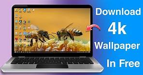 How To Download 4K Wallpapers / Thems For Laptop/PC - Edition 2024