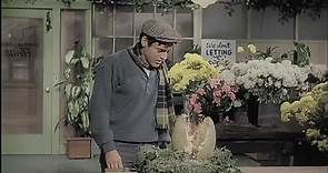 Película La Pequeña Tienda de los Horrores ( 1960 ) - D.Latino.mp4