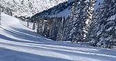 Dave Fox - Heaven! Alta Ski Area