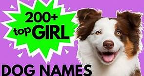 Top 200 Unique FEMALE Dog Names – Girl Dog Names