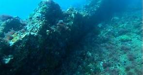 就在水下18米！澎湖海洋保育志工：鋤頭嶼海域發現東吉古沉城遺址 - 生活 - 自由時報電子報