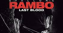 Rambo: Last Blood - película: Ver online en español
