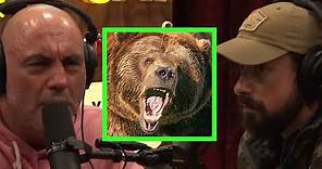 Ben O'Brien's Grizzly Bear Encounter