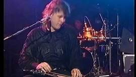 Jeff Healey Band - See the Light [Live 1989]