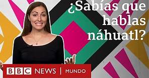 Las palabras que el náhuatl le dejó al español (y que usas sin saber) | BBC Mundo