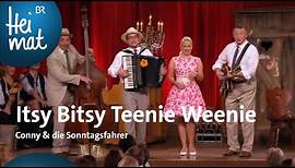 Conny & die Sonntagsfahrer: Itsy Bitsy Teenie Weenie | Brettl-Spitzen IX Lieder | BR Heimat