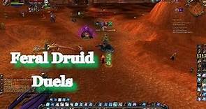 WOW Feral Druid Duels PvP 5.4 MOP