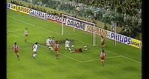 Real Madrid - Crvena Zvezda 2-0 (1987)