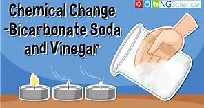 Chemical Change – Bicarbonate Soda and Vinegar