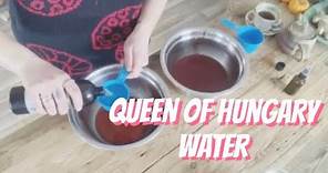 Queen of Hungary Water