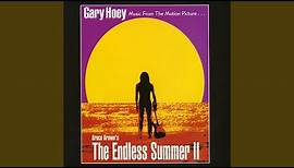 Theme from the Endless Summer
