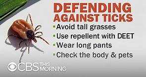 Dangerous ticks are on the rise. Here's what you need to know.