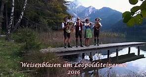 Weisenblasen am Leopoldsteinersee 2016