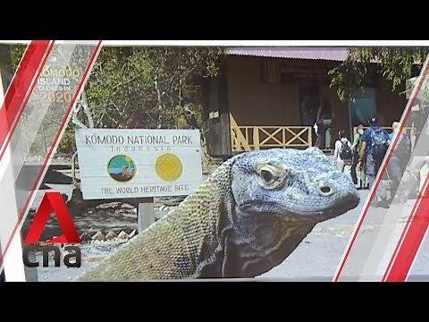 Indonesia to temporarily halt tourism to Komodo Island in 2020