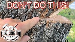 No Nonsense Guide to Tree Felling. How to cut down a tree safely. FarmCraft101
