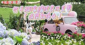 漂浮鏡中花、最新鞦韆超美！竹子湖3家繡球花況直擊「滿開期曝光」｜ETtoday旅遊雲