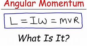 What Is Angular Momentum?
