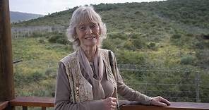 Virginia McKenna takes two lions ‘home’ to Africa