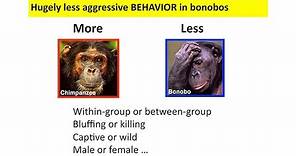 CARTA: Domestication and Human Evolution - Richard Wrangham: Did Homo sapiens Self-Domesticate?