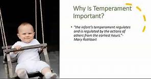 Temperament and Personality | Developmental Psychology